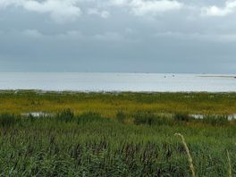 Pegwell.