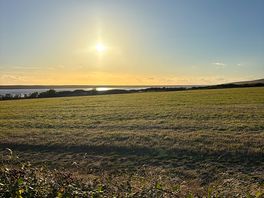 Lovely sunset