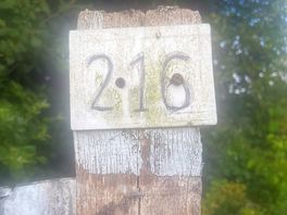 Plot number