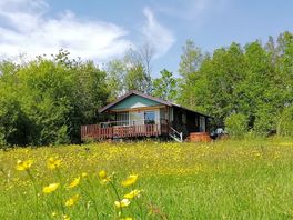 Beech Lodge with spring flowers