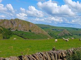 Rolling scenery