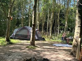 Camp
