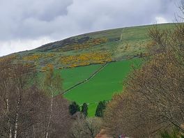 Around glenlivet.