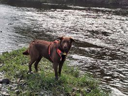 River on site