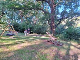 Swings area