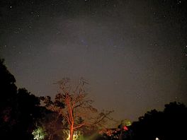 Stars