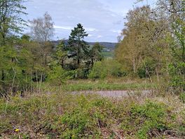 View from frith wood