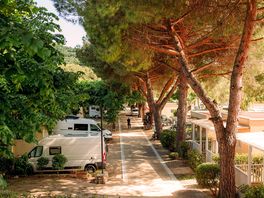 Pitches shaded by trees