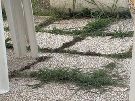 Pool bar slabs need weeding and the parasol above needs cleaning, it’s not a great look
