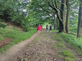 Woodland walk into skipton