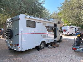 Under the olive trees