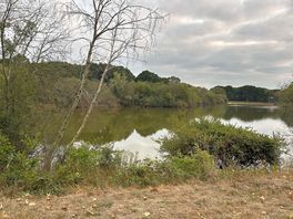 View of the lake