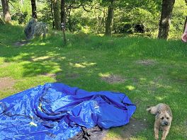 Mavis helping to pitch up