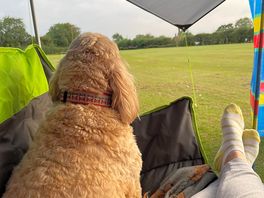 Chilling in the peace and quiet