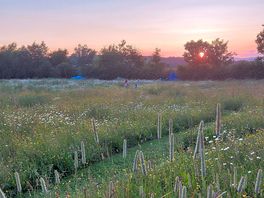 Nestled in the tranquil North Paddock, these pitches offer privacy for grown-up campers.