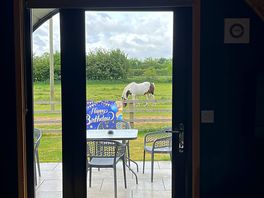 Lovely seeing the horses whilst making a brew