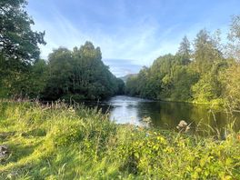 View over the river