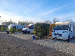 Tidy, well cared for plots