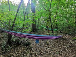 Hammocks