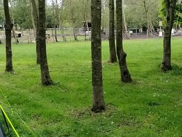 Surrounding