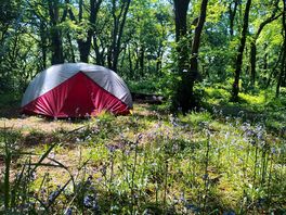 Peaceful camping