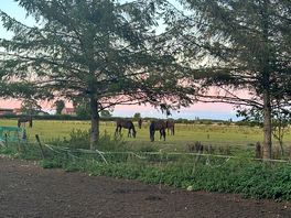 Lovely view