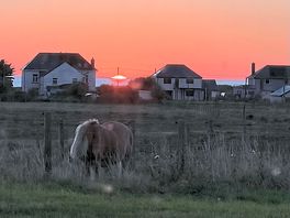 Sunsetting viewed from pitch on site.