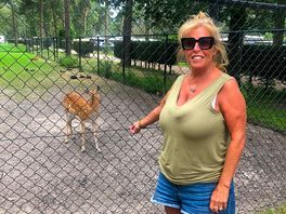 Wildlife on site