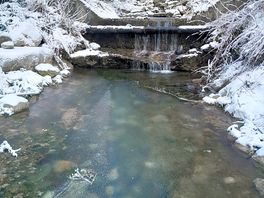 Stream