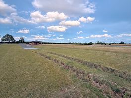 Plenty of walks for dogs