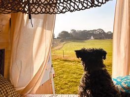 Dennis relaxing and enjoying the view..
