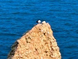 Point du hoc