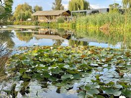 Looking at the cafe from across the fish pond.