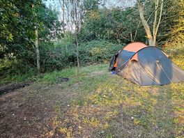 Woods camping