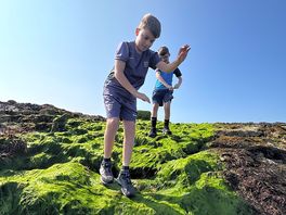 Puffin island