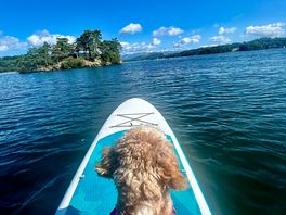 Lots of fun on the lake!