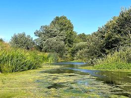 Lovely river