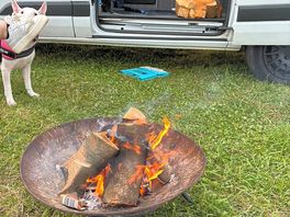 Fire’s welcome