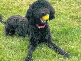Playing ball