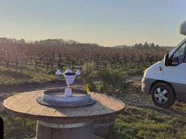 View over vineyard