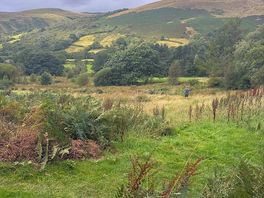 Views from the site