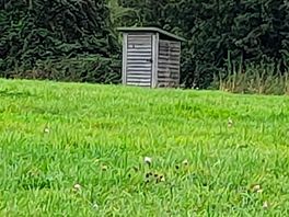 Toilet.