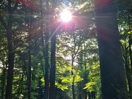 Sunshine rise nesr the campsite