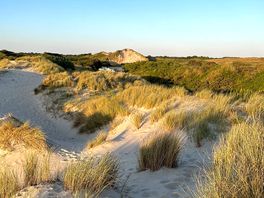 Dunes