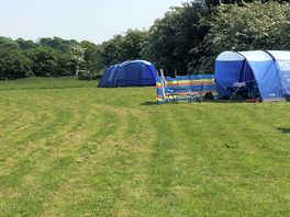 Pitches on the grass