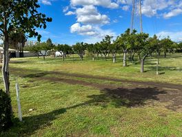 Camp view