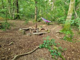 Fire pit area
