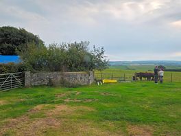 Field