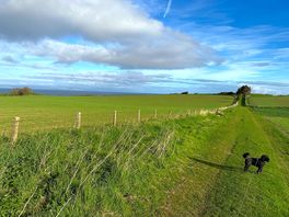 Field en route to beach