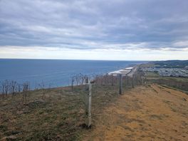 Walk to the sea